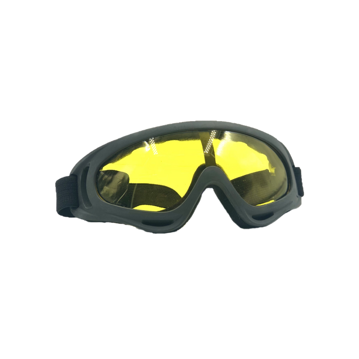 Bravo Airsoft Tactical Goggles V2